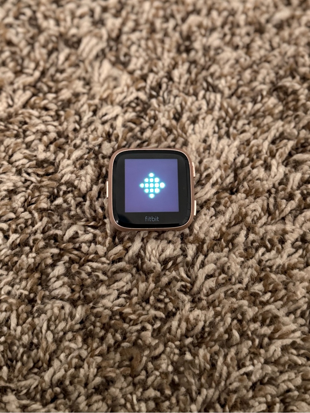 fitbit versa - includes charger and four bands [WORKING]